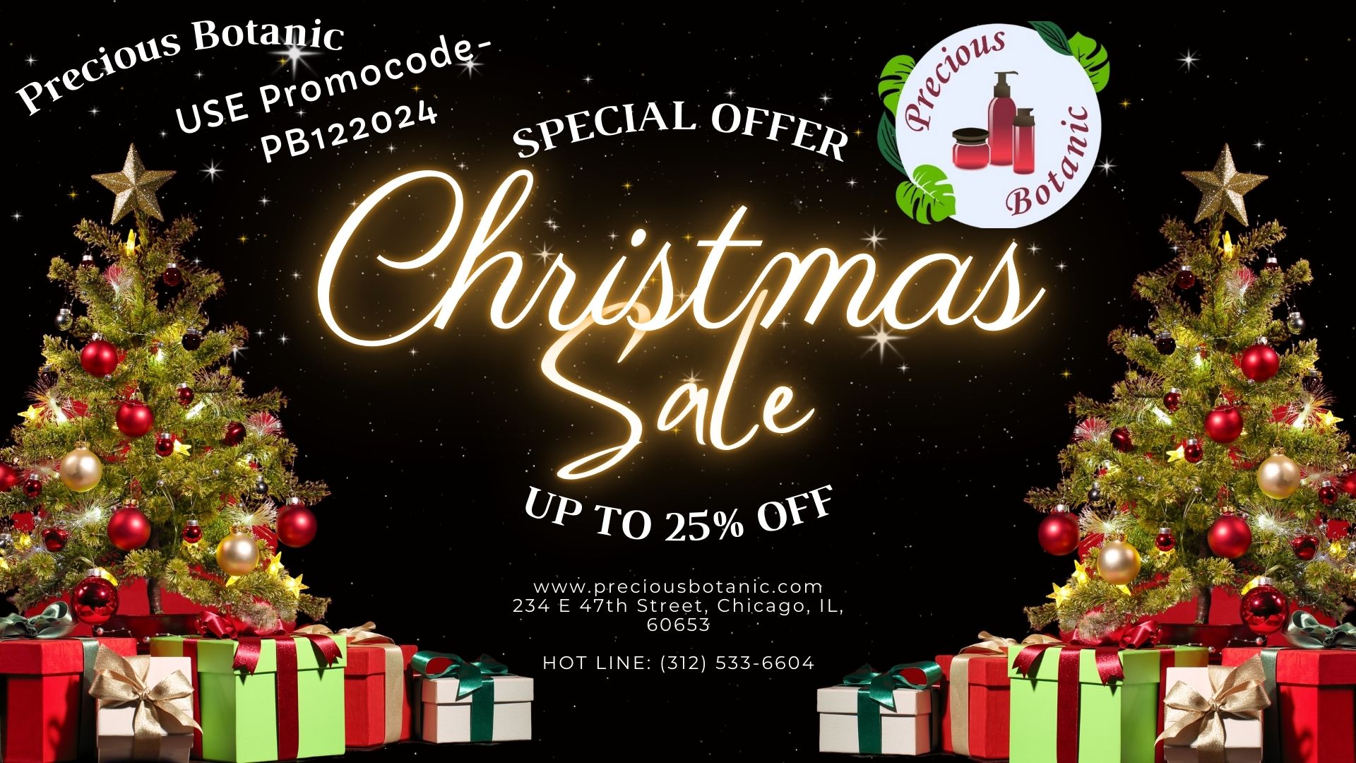 Christmas sale 25%