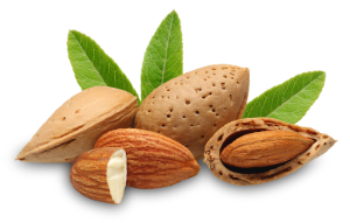 Almond Essential Oil