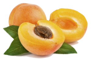 Apricot Essential Oil