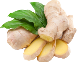 Ginger Essential Oil