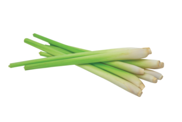 Lemongrass Essential Oil