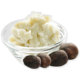 Shea Butter Essential Oil