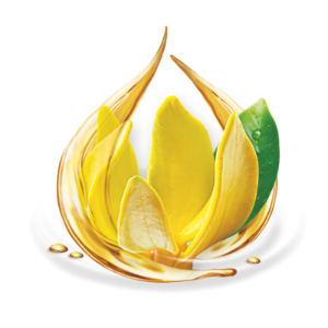 Ylang Ylang Essential Oil